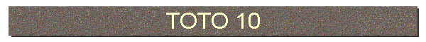 TOTO 10